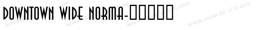 Downtown Wide Norma字体转换